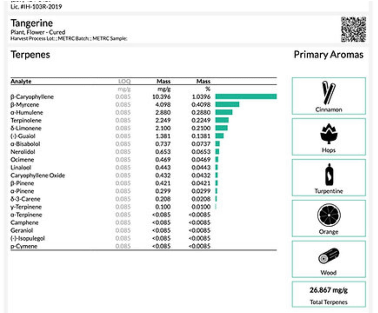 “Martin’s Dream”