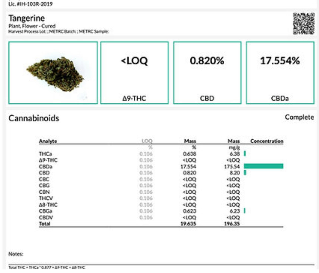 “Martin’s Dream”