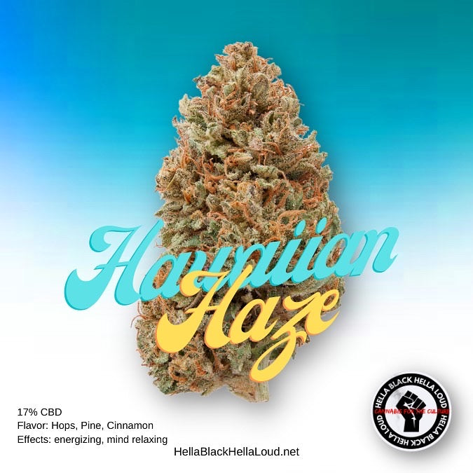 Hella Black Starter Pack