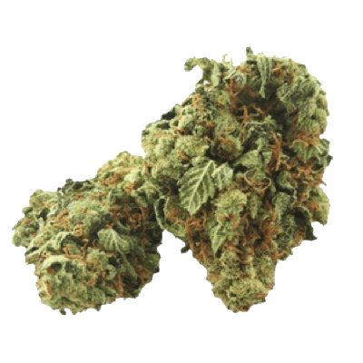 “Martin’s Dream”