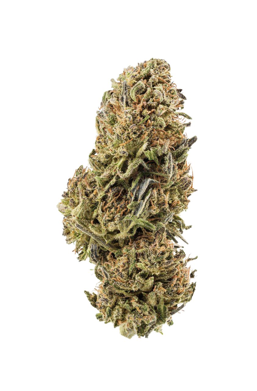 “Hella Black OG”